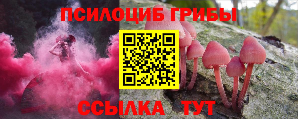 Псилоцибиновые грибы прущие грибы Наро-Фоминск
