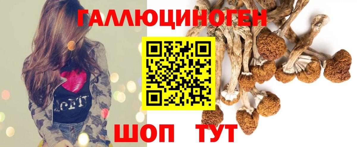 Галлюциногенные грибы Cubensis  Галлюциногенные грибы Cubensis  Вход с VPN  Наро-Фоминск 