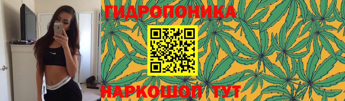Конопля White Widow  Вход с VPN  Конопля ГИДРОПОН  Наро-Фоминск 